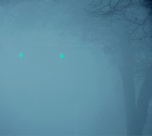 foglight